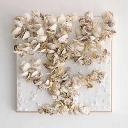 The Oyster and Pearl Tree