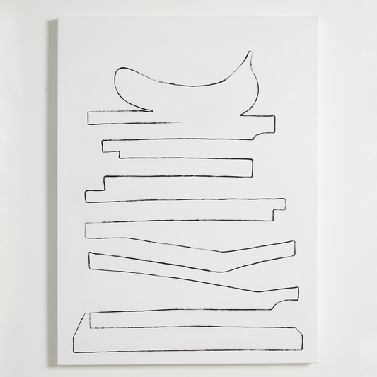Libro N1