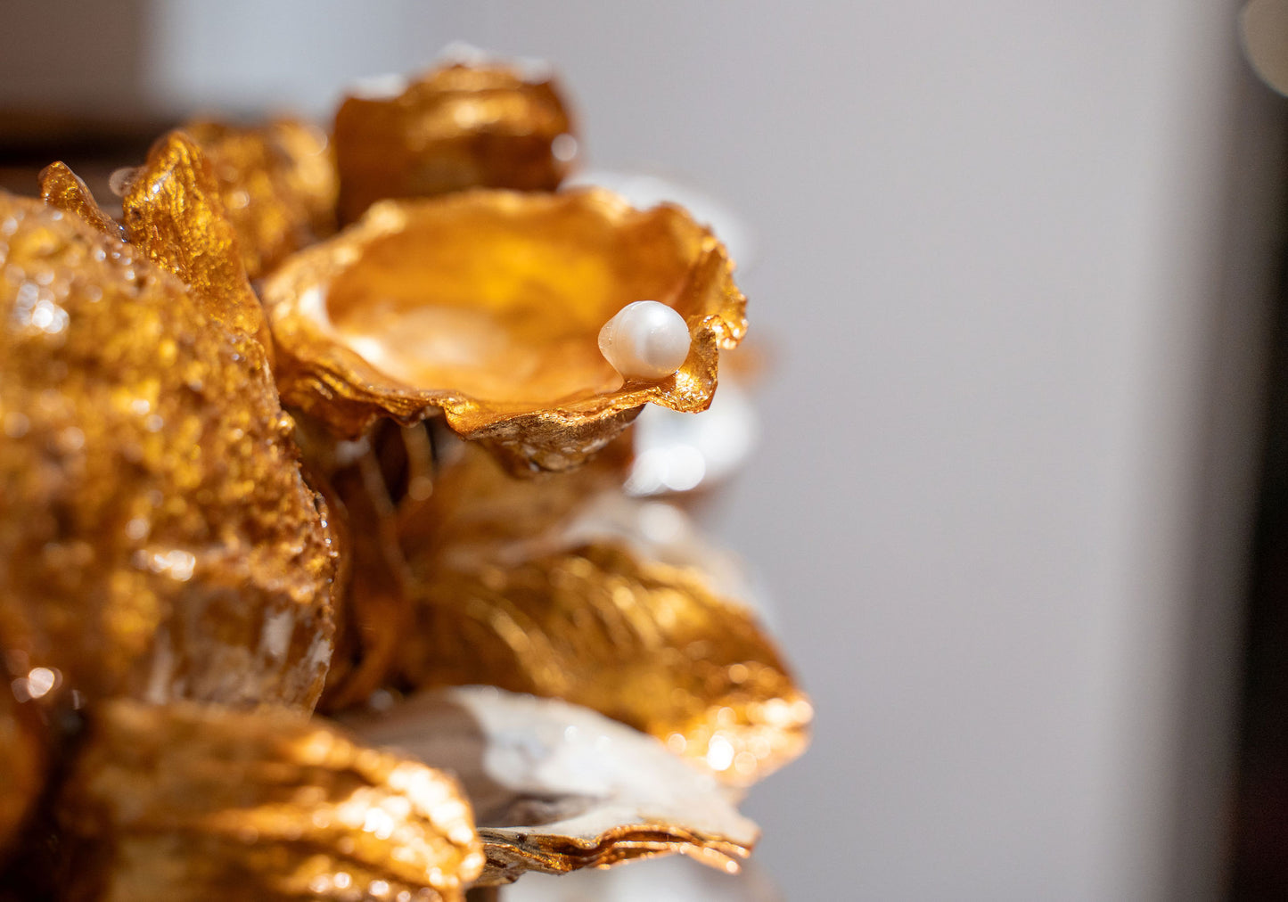 Gold Collection - Transition Series