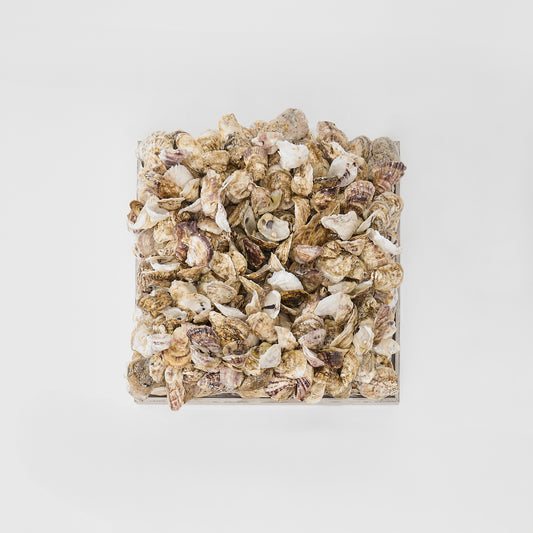 Pure Collection- Transition Series